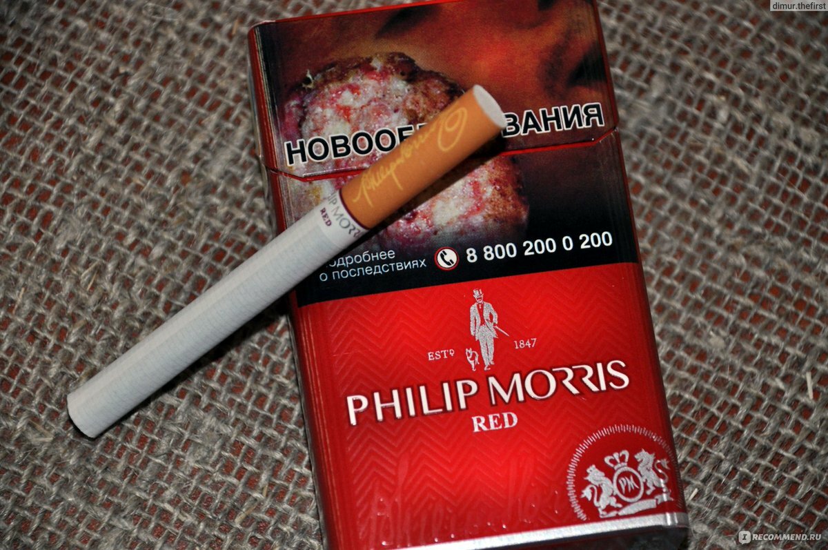 Филип Моррис рэд Филип Моррис рэд